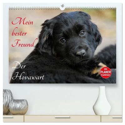 Mein bester Freund - Der Hovawart (hochwertiger Premium Wandkalender 2027 DIN A2 quer), Kunstdruck in Hochglanz