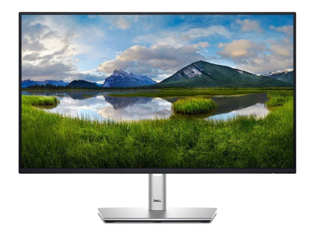 Dell P2425H 24 Zoll Full HD IPS LED 16:9 100 Hz Office Monitor DELL-P2425H