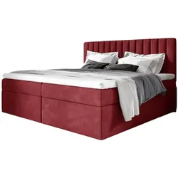 BOXBETT Linnea