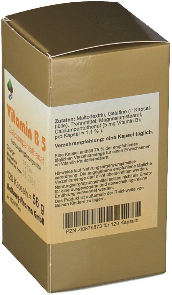 FBK Vitamin B5 Kapseln 120 St
