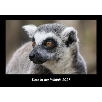 Tiere in der Wildnis 2027 Fotokalender DIN A3