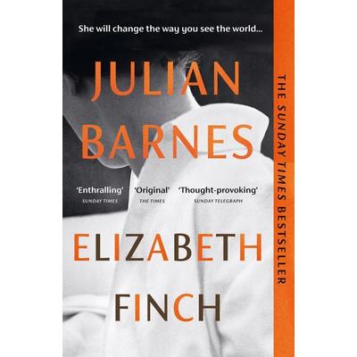 Elizabeth Finch, Taschenbuch von Julian Barnes, Vermilion