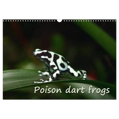 Poison dart frogs / UK-Version / Birthday Calendar (Wall Calendar 2027 DIN A3 landscape), CALVENDO 12 Month Wall Calendar