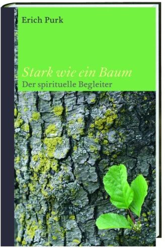 Erich Purk - Stark wie ein Baum: Der spirituelle Begleiter durch das Kirchenjahr - Preis vom 30.09.2026 22:30:23 h