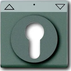 Busch-Jaeger Zentralscheibe meteor/gr 1755 SL/PZ-803-101
