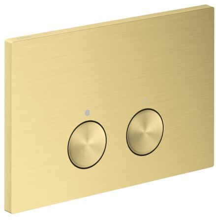 Hansgrohe AXOR FlushPlate Drückerplatte 42531950 für 2-Mengen-Spülung, Metall, brushed brass