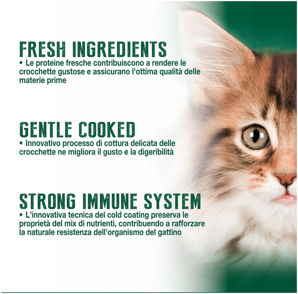 Virtus Nutrition Selection Kitten Growth Merluzzo 450G