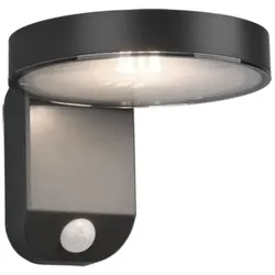 Reality Posadas - Solar-LED-Wandleuchte mit Bewegungsmelder, 4,5W, 290lm, 3000K, anthrazit