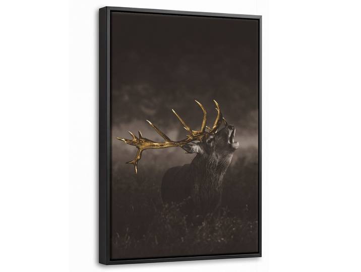 LEINWAND Bilder mit Rahmen - Rotwild - Schwarz - Gold - 40x60