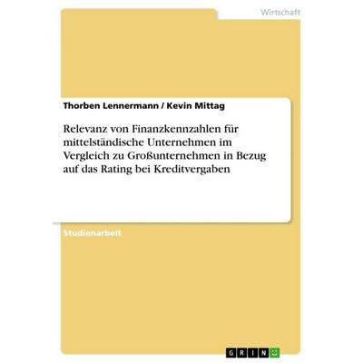 Relevanz von Finanzkennzahlen für mittelständische Unternehmen im Vergleich zu Großunternehmen in Bezug auf das Rating bei Kreditvergaben, Taschenbuch