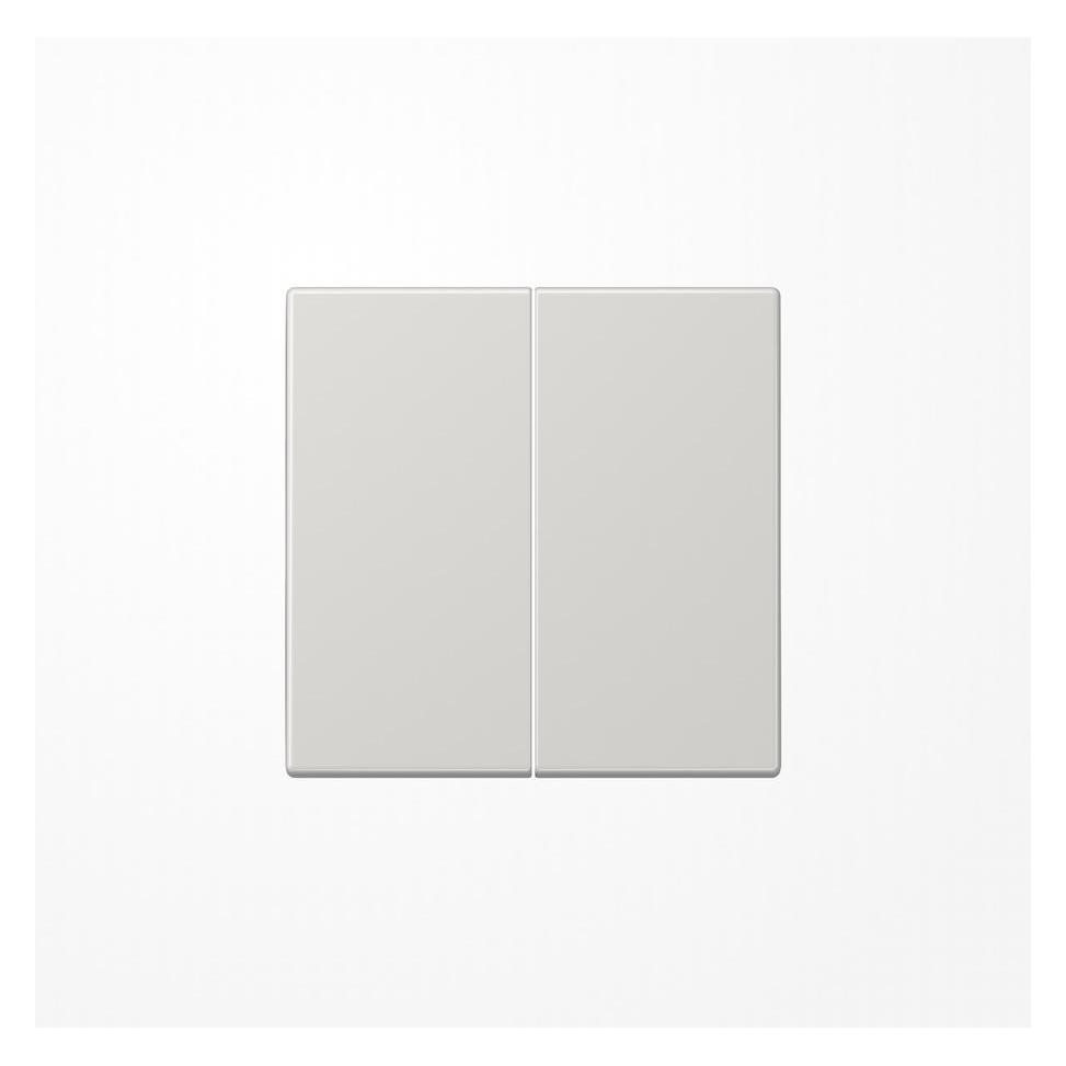 JUNG Wippe für Taster LS995LG Ba 2-F. (LS990) lichtgrau (LS995LG)