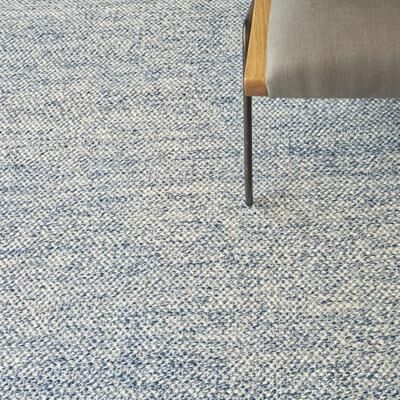 EXQUISITE RUGS Rhodes Hand-loomed PET yarn Blue Area Rug.