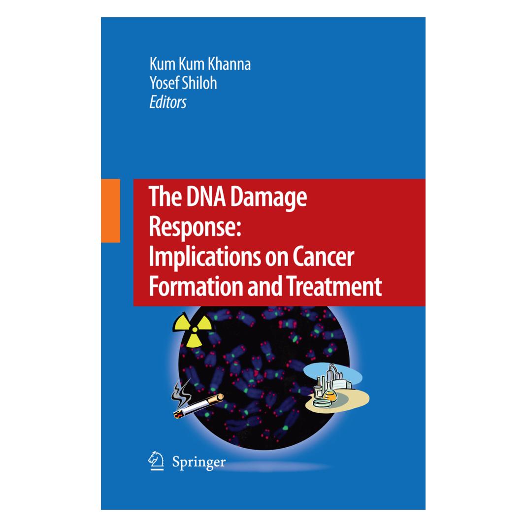 Springer The DNA Damage Response: Implications on Cancer Formation and Treatment (Englisch, Softcover, Kum Khanna, Yosef Shiloh) (55573737)