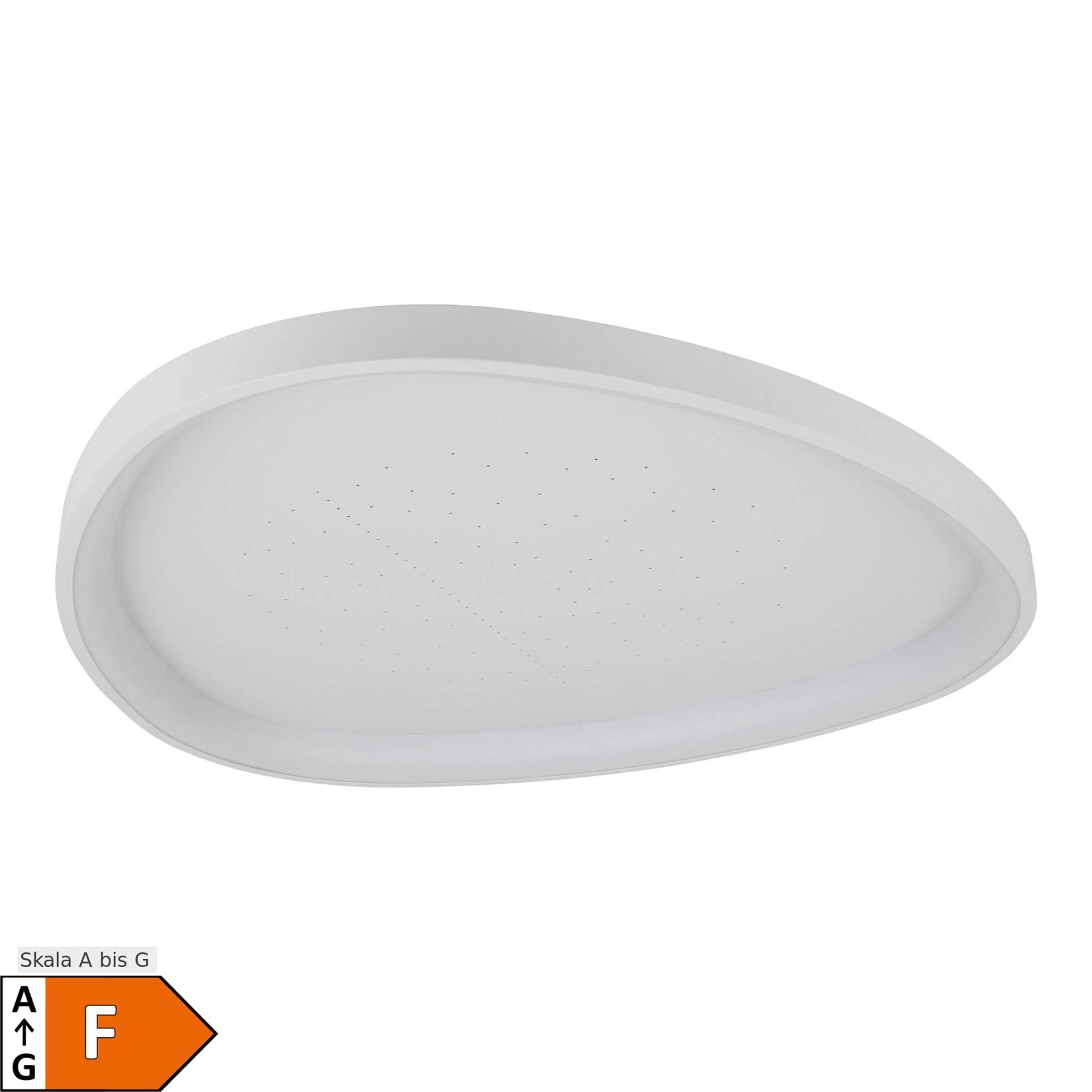 Näve LED / CCT Deckenleuchte "ARGESA" Inkl. Meteor-Licht L/B: 42cm