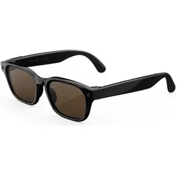 Metabo Meta Ray-Ban AI brýle Adventurer, Classic Black/Brown, AR Brille, Schwarz, Braun