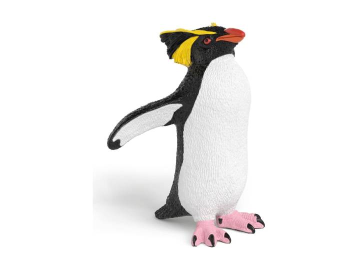 Gorfou sauteur