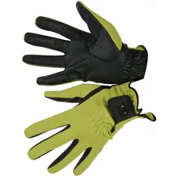 TdeT, Reithandschuhe, (XL)