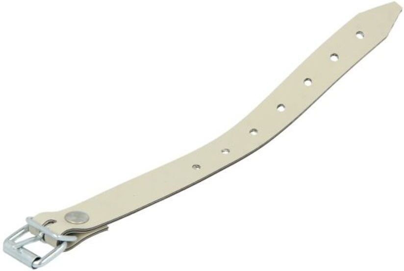 Gurt CARGOPARTS P250