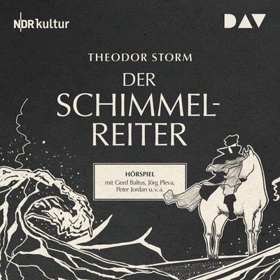 Der Schimmelreiter - Theodor Storm, Audio, 9783742402752