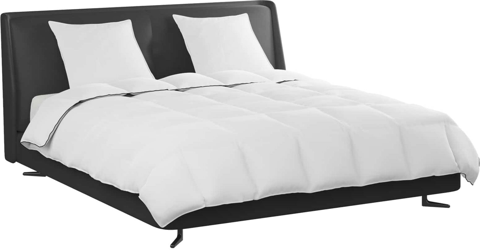 vidaXL Duvet d'hiver avec oreiller 3 pièces Blanc Down Feather