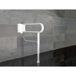 Delficare Schwenkstützgriff variopresa, 80 cm