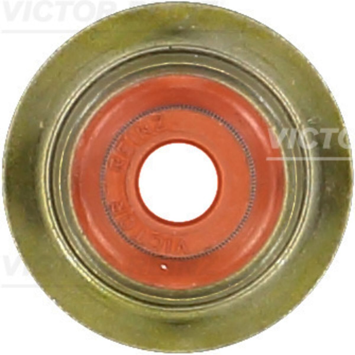 Victor Reinz Dichtring, Ventilschaft REINZ 70-35172-00