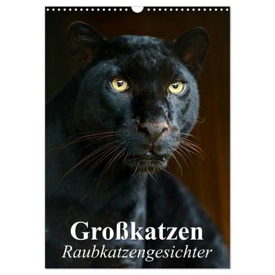 Großkatzen. Raubkatzengesichter (Wandkalender 2027 DIN A3 hoch), CALVENDO Monatskalender