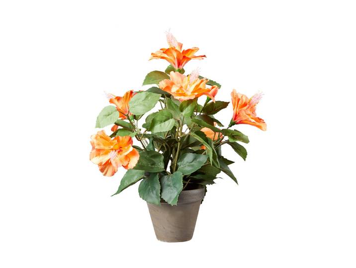 Mica Künstlicher Hibiskus Orange im Grauen Topf 30 × 40 cm