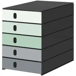 Styro Schubladenbox »styroval pro Emotions« 5 Schubladen Frühling, 23x4.9x32.7 cm