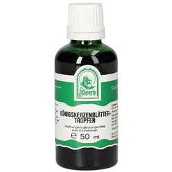 Koenigskerzenblaetter Trop