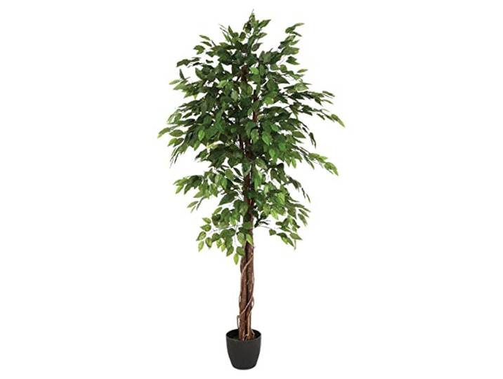 Künstlicher FICUS im Topf H.180