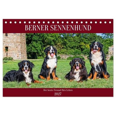 Berner Sennenhund - Der beste Freund fürs Leben (Tischkalender 2027 DIN A5 quer), CALVENDO Monatskalender