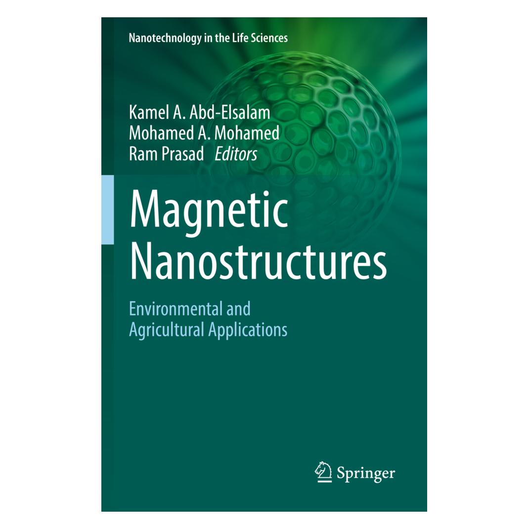 Springer Magnetic Nanostructures (Englisch, Softcover, A Mohamed, Kamel A. Abd-Elsalam, Mohamed A. Mohamed, Mohamed/Prasad, RAM, Ram Prasad) (56157055)