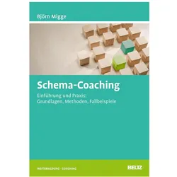Schema-Coaching, Fachbücher von Björn Migge
