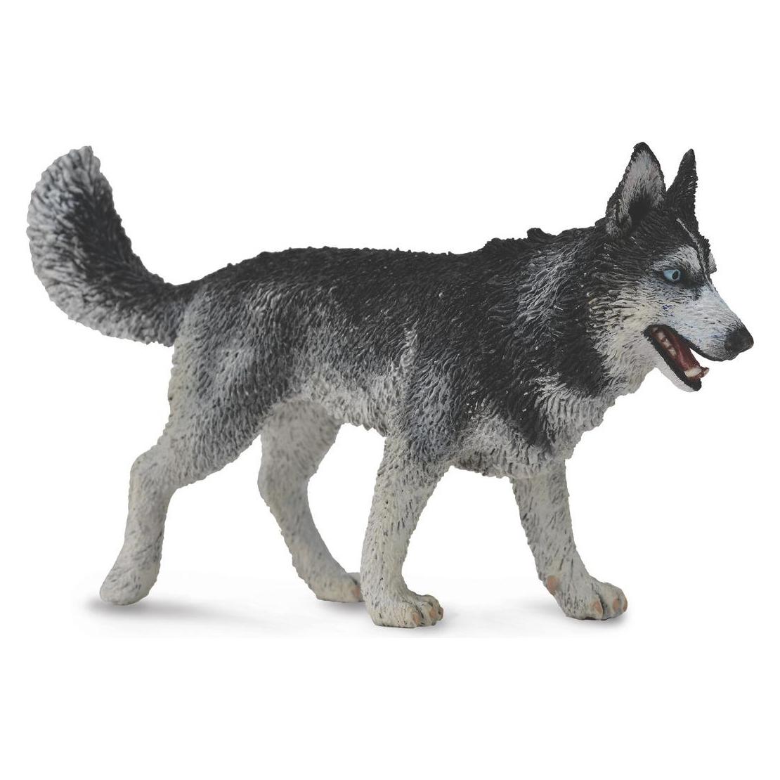 Collecta Sibirischer Husky (004-88707)