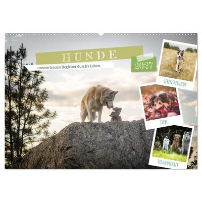 Hunde, unsere treuen Begleiter durch's Leben. (Wandkalender 2027 DIN A2 quer), CALVENDO Monatskalender
