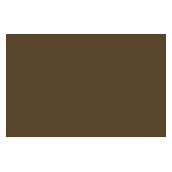 Winsor & Newton Ac Spray 400Ml Raw Umber 0331 (400 ml) (4450331)