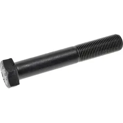 Schrauben DIN 960 silber - 00960 100 0160 100 - silber