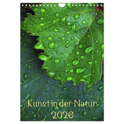 Kunst in der Natur (Wandkalender 2026 DIN A4 hoch), CALVENDO Monatskalender