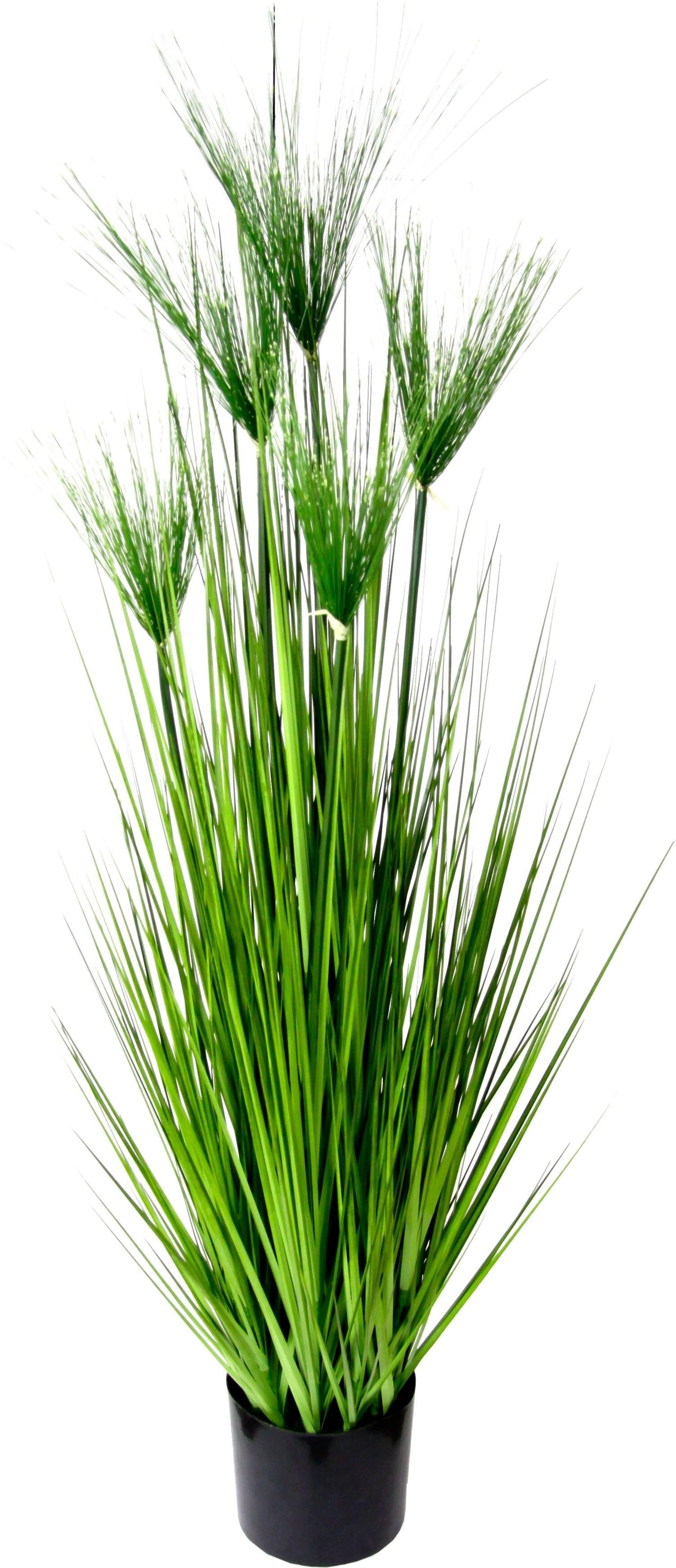 Kunstpflanze I.GE.A. "Zyperngras im Topf", grün, B:33cm H:130cm T:33cm, Kunststoff, Kunstpflanzen, Kunstpflanze