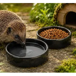 2er-Set Reavet Igel Futter- und Trinkschalen
