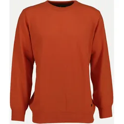 Pullover Alfred Orange 52