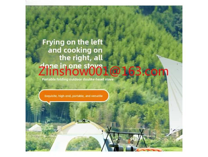 Réchaud de camping double brûleur portable, réchaud de camping pliable pour pique-nique et extérieur