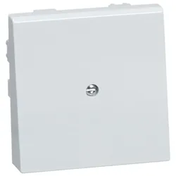 Peha Zentralplatte rws D 95.610.02 AT