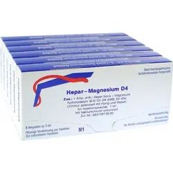 HEPAR MAGNESIUM D 4 Ampullen 48X1 ml