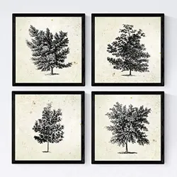 POSTER Set mit 4 Blättern der Laubbäume Jahrgang Hintergrund 20x20cm Rahmenlos