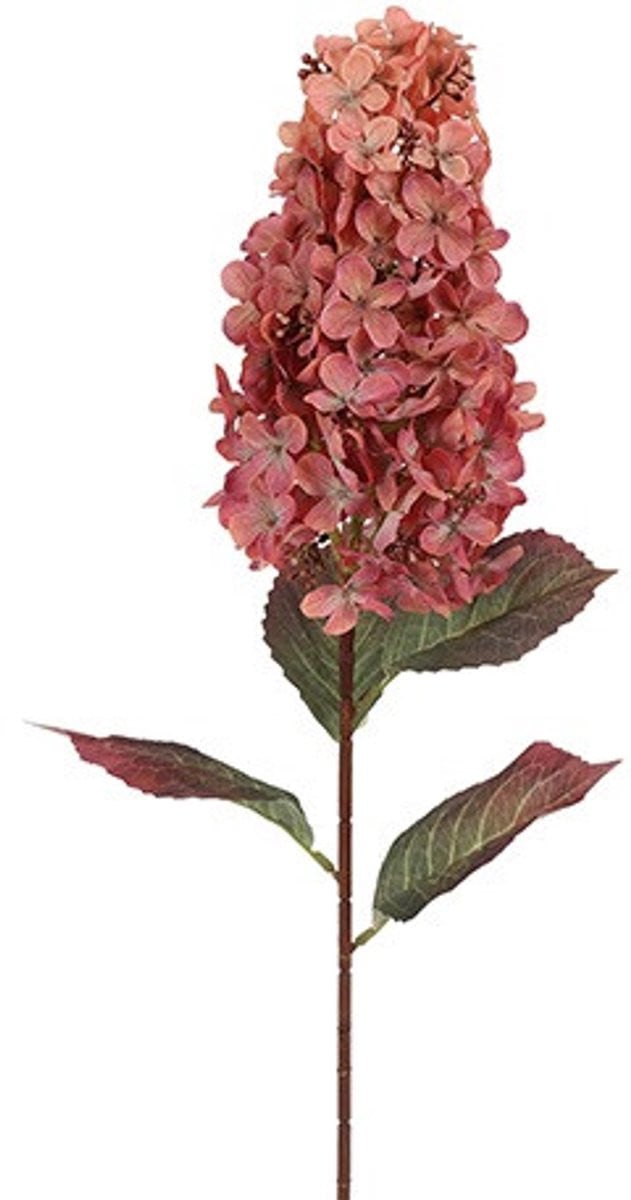 Countryfield Hydrangea Aletta Paniculata Roze Zijdebloem