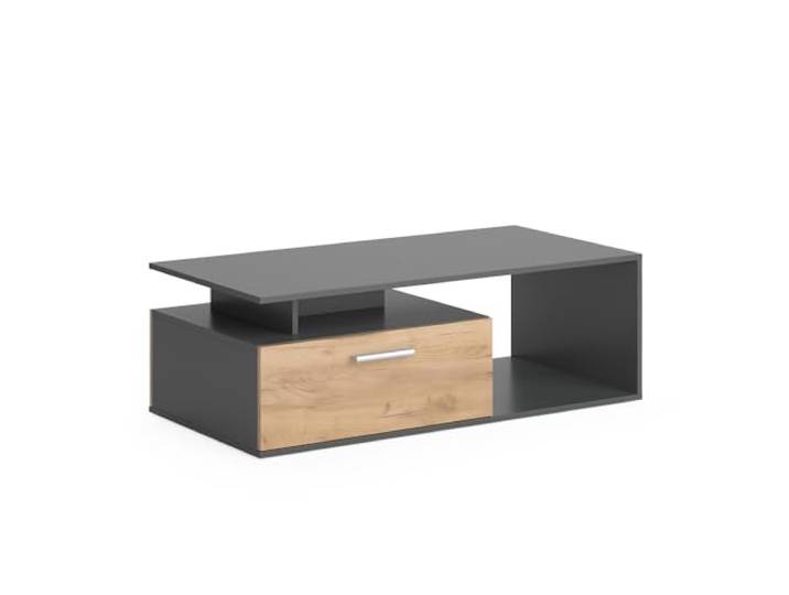 Vicco Couchtisch Roland , Anthrazit/Goldkraft Eiche 118 x 59 cm mit Ablagefläche zur Aufbewahrung von Zeitschriften