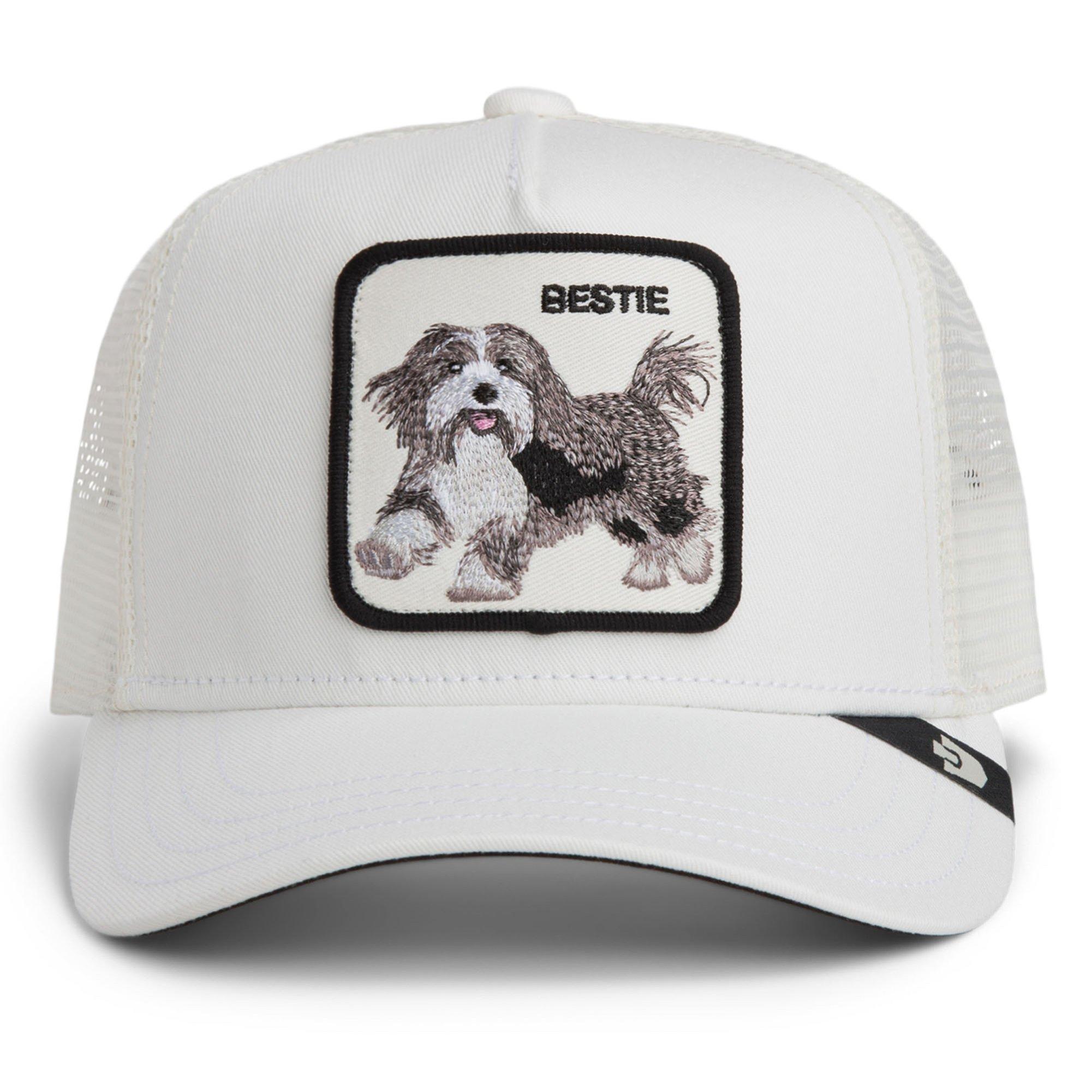 Goorin Bros. Pet