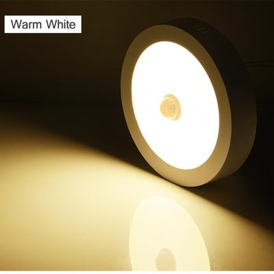 Universal Stock Lumi Sense LED Motion Sensor Ceiling Light PIR Ceiling Light For Hallways, Bedrooms & Living Spaces warm White 12w